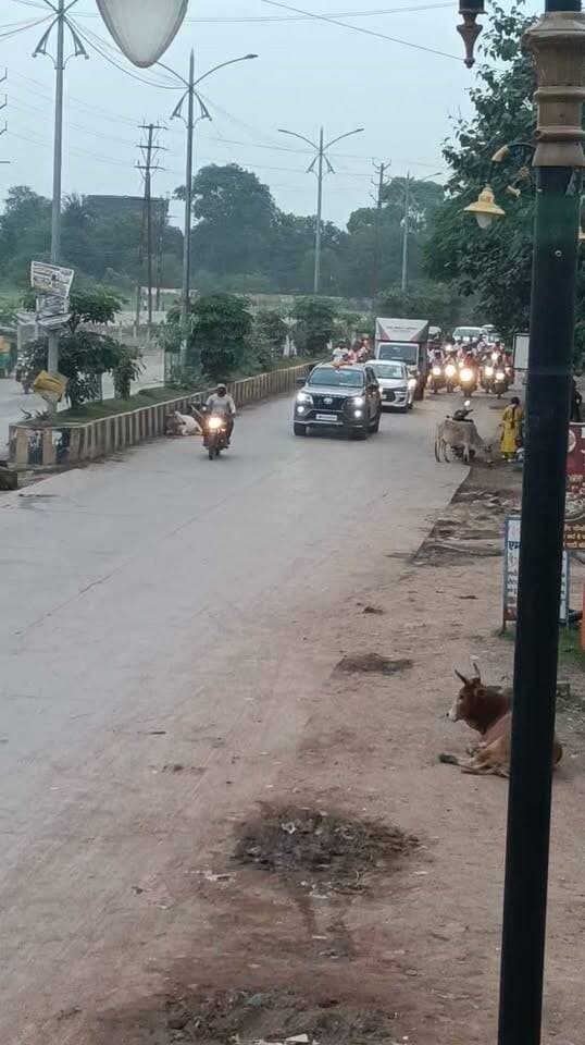 भाजपा के राष्ट्रीय संयोजक वीडी शर्मा 'वाराणसी से बड़नगर यात्रा' बाइक रैली को किया रवाना
वृद्धजनों का हुआ सम्मान, यात्रा का सतना पहुंचने पर आत्मीय स्वागत