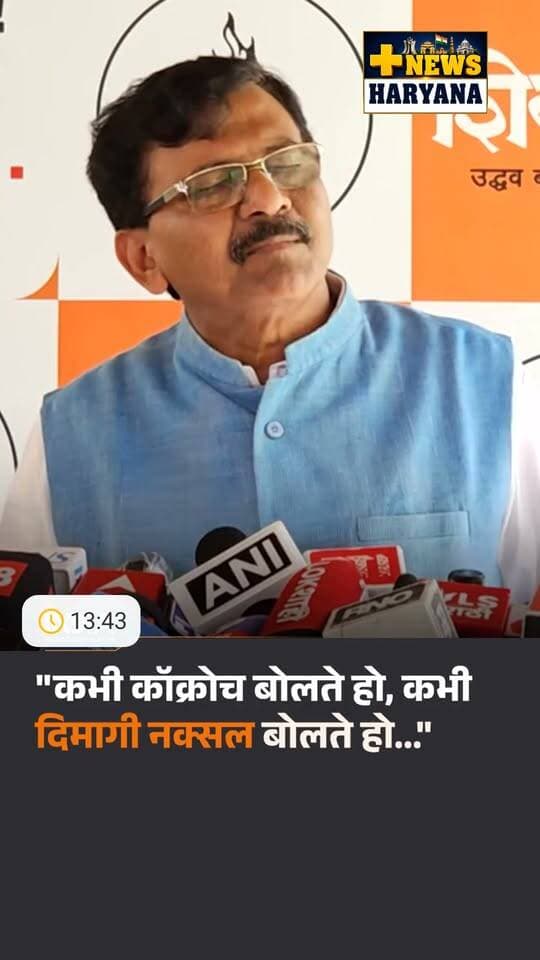 कभी कॉक्रोच बोलते हो, कभी दिमागी नक्सल बोलते हो...: शिवसेना (UBT) सांसद संजय राउत #Shivsena #SanjayRaut