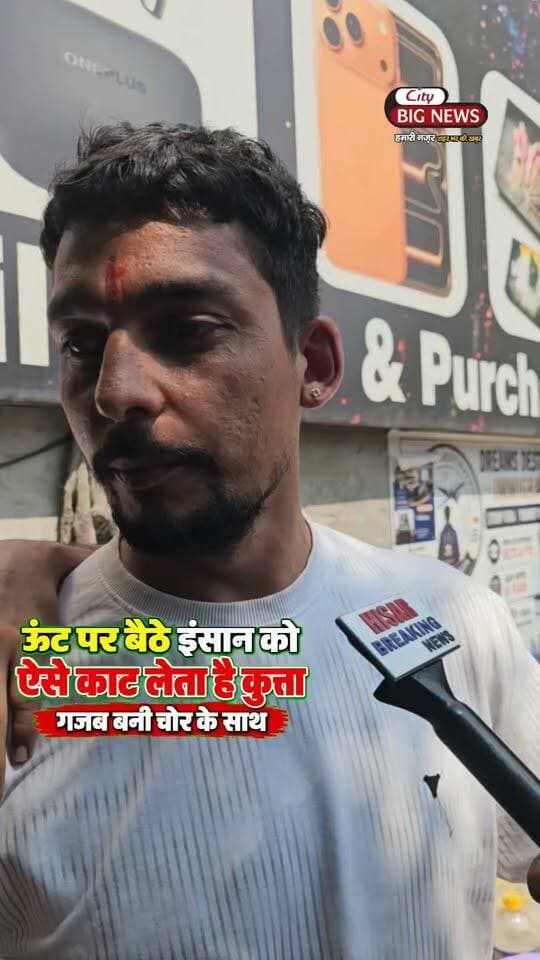 ऊंट पर बैठे इंसान को ऐसे काट लेता है कुत्ता - गजब बनी चोर के साथ
#hisar #haryana #citybignews @topfans #HaryanaTour