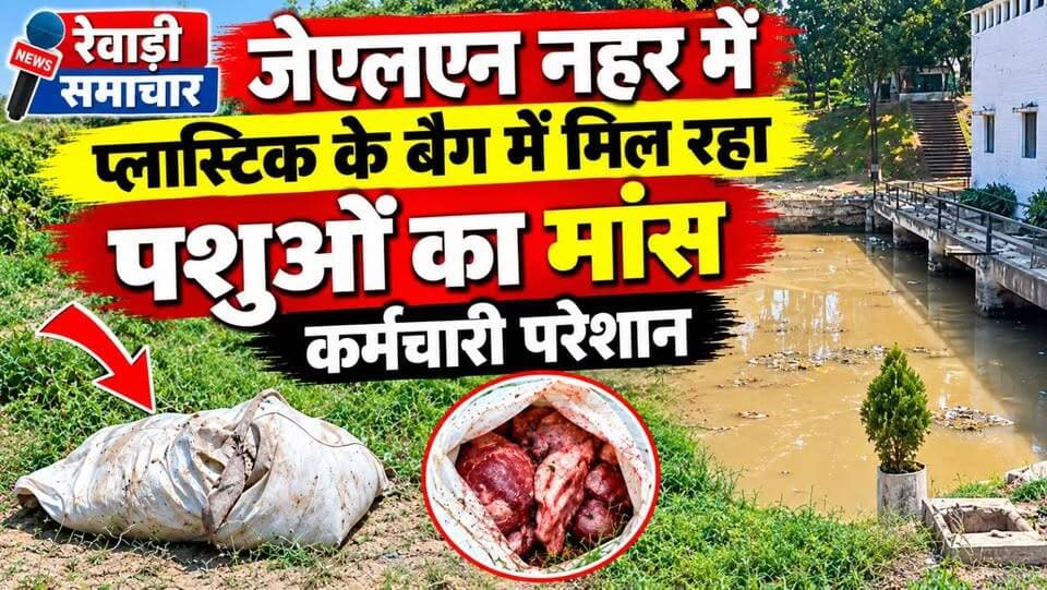 रेवाड़ी JLN नहर में मिल रहा पशुओं का मांस # नहर कर्मचारी परेशान # पानी को रहा प्रदूषित