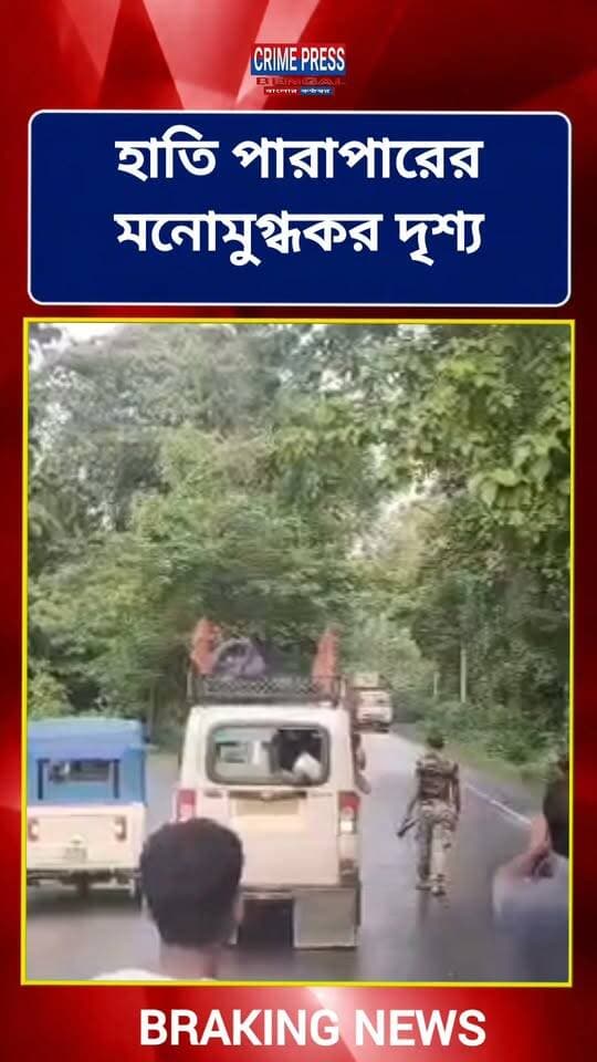 হাতি পারাপারের মনোমুগ্ধকর দৃশ্য
#Jolpaiguri
