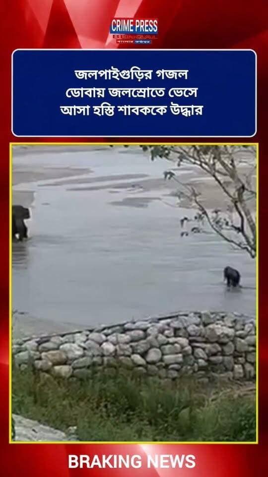 জলপাইগুড়ির গজল ডোবায় জলস্রোতে ভেসে আসা হস্তি শাবককে উদ্ধার
#Jolpaiguri