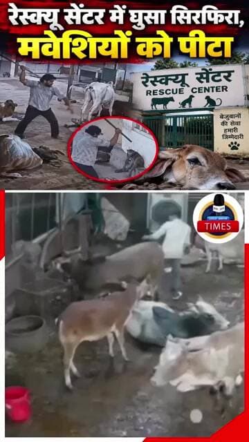 ललितपुर ब्रेकिंग शहर के वर्णी चौराहे पर जिला पशु अस्पताल में चल रहे रेस्क्यू सेंटर