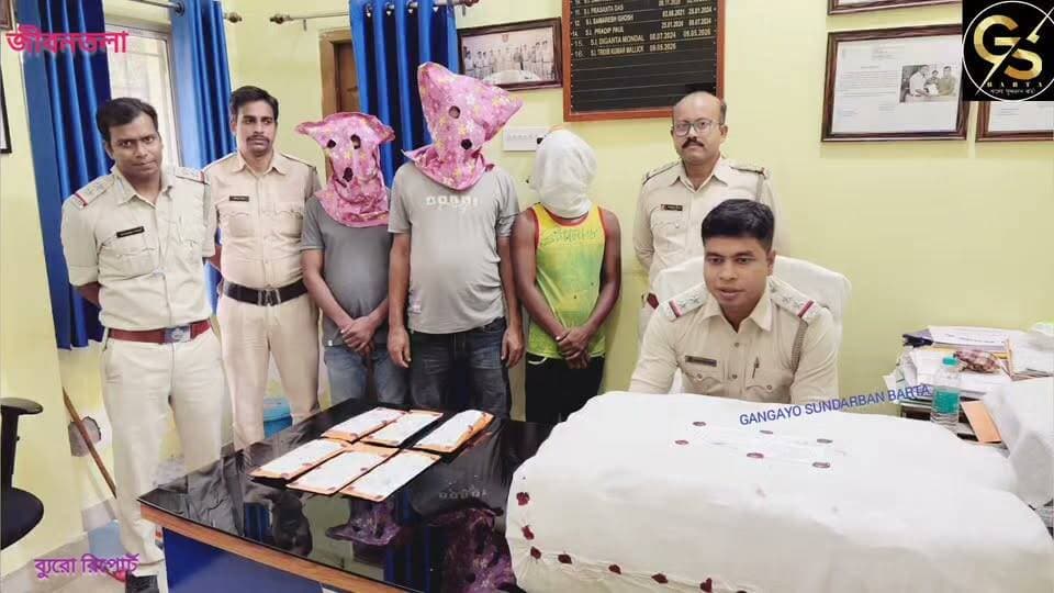 জীবনতলায় ২৭ কেজির বেশি গাঁজা উদ্ধার, গ্রেফতার তিন #GSB #police #crimestory #canning