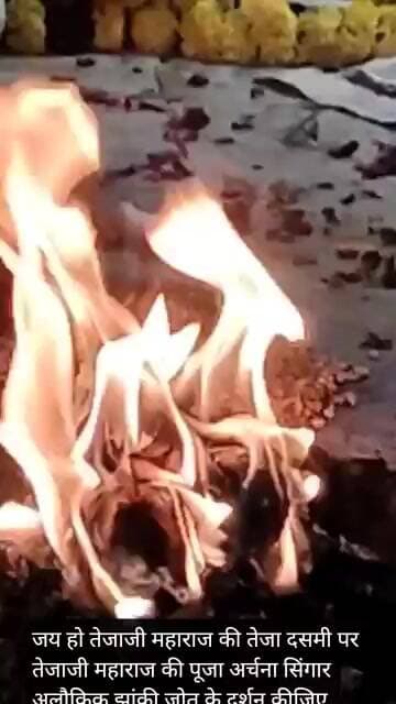जय हों तेजाजी महाराज की पूजा अर्चना सिंगार अलौकिक झांकी जौत के दर्शन कीजिए।