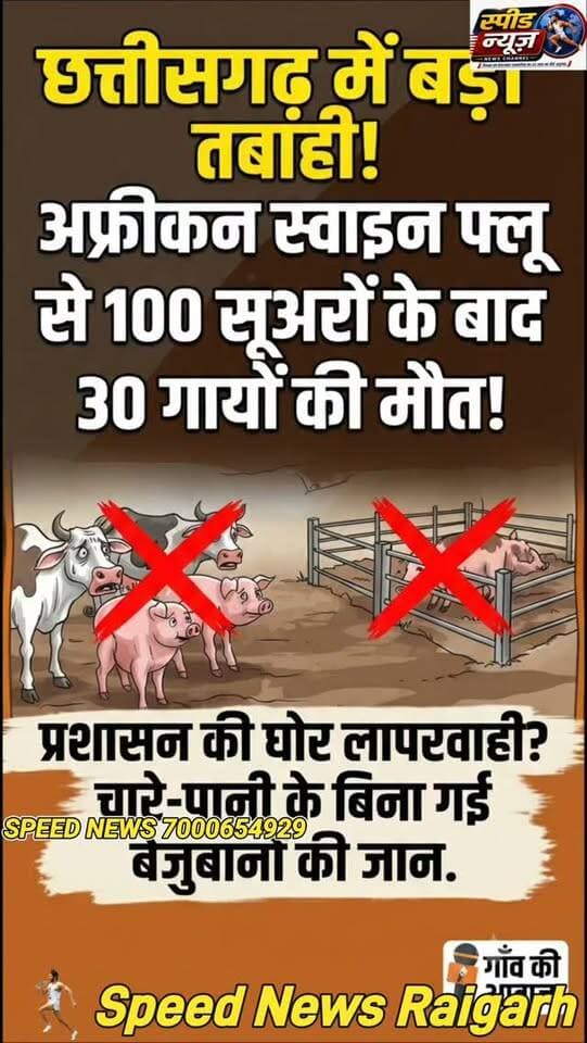 *_स्पीड न्यूज रायगढ़_*
www.speednewscg.com
*_ब्रेकिंग न्यूज_*
छत्तीसगढ़ में बड़ी तबाही! अफ्रीकन स्वाइन फ्लू के बाद 30 गायों की मौत से मचा हड़कंप https://speednewscg.com/major-havoc-in-chhattisgarh-panic-ensues-after-the-death-of-30-cows-following-african-swine-flu/
*व्हाटअप चैनल में जुड़ने के लिए यहां क्लिक करें प्लीज़*
https://whatsapp.com/channel/0029Va95NwoBFLgPiOQ0AQ2a