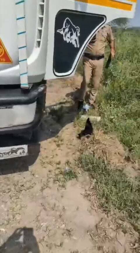 *पुलिस अधीक्षक हिसार के निर्देशानुसार EHC सूरत सिंह द्वारा औद्योगिक क्षेत्र हिसार में 2 ब्लैक फिल्म लगे ट्रकों का चालान किया गया।*