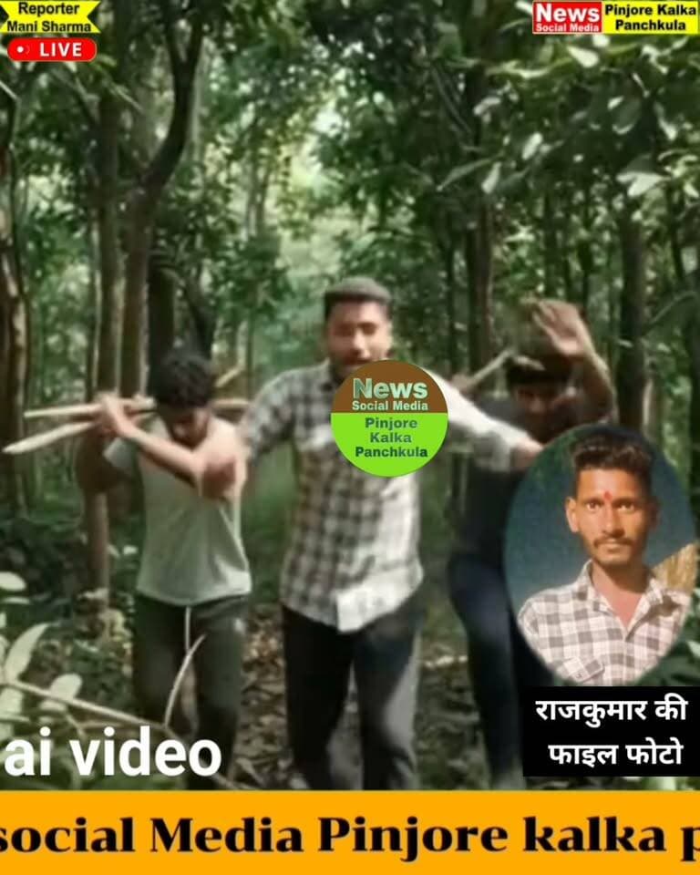 मधुमक्खियों के हमले में 27 वर्षीय युवक की मौत, परिवार में छाया मातम।
Like /comment /share / follow instagram and you tube subscribe
https://nsmpkp.com News Social Media Pinjore Kalka Panchkula Reporter mani Pinjore / kalka 21-9-2026,
my E-mail:manisharma4009@ gmail.com what's app no:-9896944009
https://youtube.com/shorts/QPP0lYudUcg?si=wBw9na6smt4ClSW-
https://www.instagram.com/reel/DdjTlAVhllU/?stkn=MnFweHpsNWFjejVz
