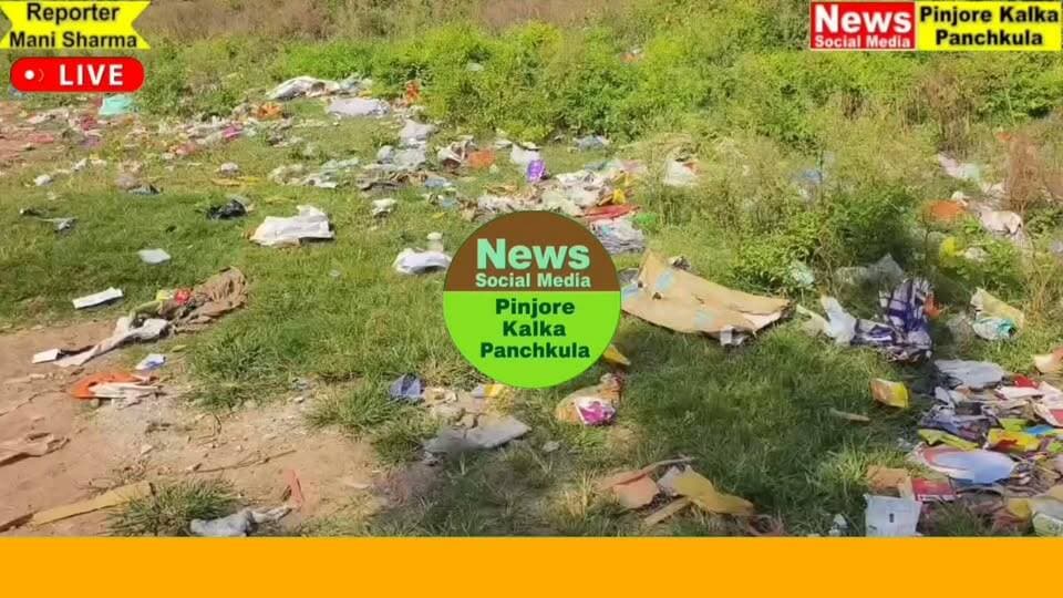 पिंजौर रत्तपुर कलोनी वार्ड नंबर 23 में गंदगी के ढेर से लोग परेशान, लोग हो रहे बीमारियों का शिकार।
Like /comment /share / follow instagram and you tube subscribe
https://nsmpkp.com News Social Media Pinjore Kalka Panchkula Reporter mani Pinjore / kalka 21-9-2026,
my E-mail:manisharma4009@ gmail.com what's app no:-9896944009
https://www.instagram.com/reel/DdisXRuB443/?stkn=NGRydXZpOGphaXNk
https://youtu.be/wTYu8vI_N5w?si=PvxNaWYwW39zerwU