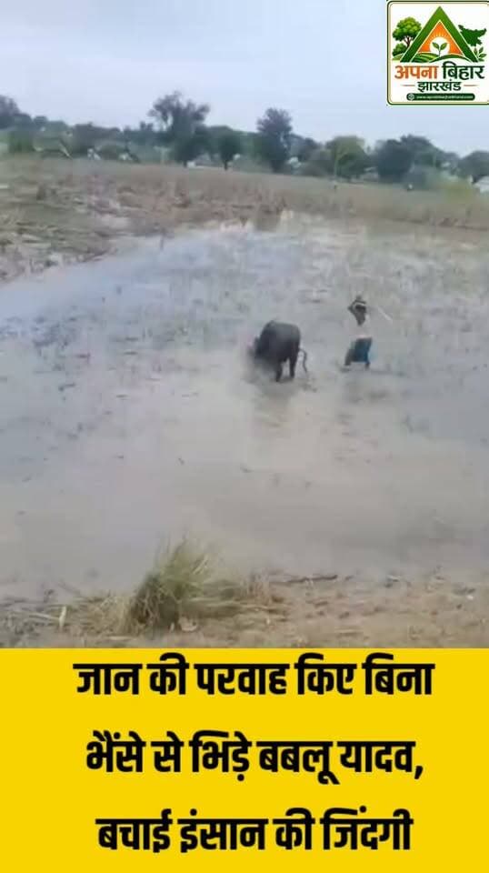 जान की परवाह किए बिना भैंसे से भिड़े बबलू यादव, बचाई इंसान की जिंदगी