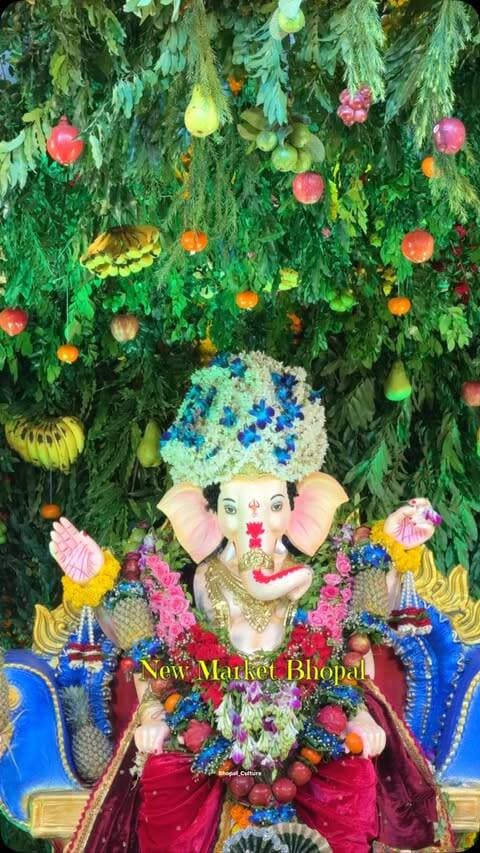 Aap kab ja rahe ho ?
#Newmarketbhopal #bhopal_the_city_of_lakes #newmarketkeraha #bhopal_the_city_of_lakes #bhopali