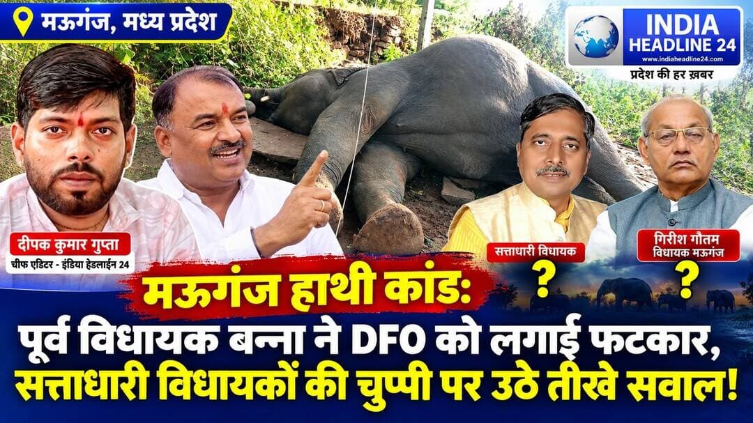 **मऊगंज के मलकपुर में हाथी की मौत पर महा-संग्राम: पूर्व विधायक बन्ना का DFO पर करारा हमला, सत्ताधारी विधायकों की चुप्पी पर उठे तीखे सवाल; जानिए पल-पल की बड़ी अपडेट्स**
मऊगंज जिले के ग्राम पंचायत हर्राह अंतर्गत मलकपुर के कठौतिया टोला में करंट लगने से हुई एक नर हाथी की दर्दनाक मौत के बाद पूरे प्रदेश का सियासी और प्रशासनिक माहौल गरमा गया है। पिछले 8 महीनों से मऊगंज, रीवा और सीधी जिले के जंगलों में बेखौफ विचरण कर रहे हाथियों की सुरक्षा को लेकर वन विभाग और बिजली मंडल के बड़े-बड़े दावों की पोल इस एक हादसे ने खोलकर रख दी है। बेजुबान की अकाल मौत के बाद अब प्रशासनिक नाकामी और राजनीतिक खामोशी को लेकर जनता में जबरदस्त उबाल देखने को मिल रहा है। हादसे की खबर मिलते ही मऊगंज के पूर्व विधायक सुखेंद्र सिंह बन्ना बिना किसी देरी के मलकपुर घटनास्थल पर पहुंचे और पूरे स्थिति का जायजा लिया। मौके पर प्रशासनिक अव्यवस्था देखकर उनका गुस्सा फूट पड़ा और उन्होंने घटनास्थल पर मौजूद वन मंडल अधिकारी (DFO) को जमकर आड़े हाथों लिया। बन्ना के तीखे और तार्किक सवालों के आगे DFO असहाय नजर आए। सुखेंद्र सिंह बन्ना ने दोटूक शब्दों में कहा कि यह कोई सामान्य दुर्घटना नहीं, बल्कि सीधे तौर पर वन विभाग और विद्युत मंडल की आपराधिक लापरवाही है। उन्होंने सरकार से मांग की कि सिर्फ छोटे कर्मचारियों पर गाज गिराने के बजाय DFO समेत उनसे भी उच्च पदस्थ जिम्मेदार अधिकारियों को तत्काल प्रभाव से निलंबित और बर्खास्त किया जाना चाहिए। मऊगंज की जनता का भी मानना है कि संकट के समय धरातल पर उतरकर बेजुबानों और आम जनता की लड़ाई लड़ने वाले नेताओं की ही मऊगंज को सख्त जरूरत है, और पूर्व विधायक बन्ना ने मौके पर पहुंचकर जनप्रतिनिधि होने का वास्तविक फर्ज निभाया है। इस भीषण हादसे और प्रशासनिक विफलता के बावजूद सत्ता के गलियारों में सन्नाटा पसरा हुआ है। मऊगंज के वर्तमान विधायक प्रदीप पटेल और देवतलाब विधायक व पूर्व विधानसभा अध्यक्ष गिरीश गौतम की ओर से अब तक न तो घटनास्थल का दौरा किया गया और न ही इस मामले में कोई स्पष्टीकरण या बयान जारी किया गया है। क्षेत्रीय जनता अब सवाल उठा रही है कि आखिर इतने बड़े हादसे के बाद भी सत्ताधारी जनप्रतिनिधि खामोश क्यों हैं? क्या मऊगंज की जनता और वन्यजीवों की सुरक्षा उनके एजेंडे में शामिल नहीं है? यह चुप्पी यह दर्शाने के लिए काफी है कि सत्ता में बैठे नेता धरातल की समस्याओं से कितने कटे हुए हैं। घटना के बाद मऊगंज और रीवा दोनों रेंजों का प्रभार संभाल रहीं वन अधिकारी वर्षा सिंह की कार्यप्रणाली पर भी गंभीर आरोप लग रहे हैं। स्थानीय स्तर पर यह चर्चा जोरों पर है कि प्रभावशाली राजनीतिक परिवार और मंत्री घराने से ताल्लुक रखने के कारण वर्षा सिंह रीवा में रहकर ही मऊगंज की रेंज का संचालन कर रही हैं। जब महीनों से हाथियों का मूवमेंट मऊगंज, रीवा और उत्तर प्रदेश से लगे सीमावर्ती इलाकों में दर्ज था, तो आबादी के नजदीक गुजर रही विद्युत लाइनों को लेकर पुख्ता सुरक्षा इंतजाम क्यों नहीं किए गए? मऊगंज की जनता का कहना है कि अब लीपापोती से काम नहीं चलेगा, मऊगंज के प्रशासनिक अमले की पूरी ओवरहॉलिंग (पूरी पलटी) होनी चाहिए और लापरवाह अफसरों पर तत्काल बर्खास्तगी की कार्रवाई की जानी चाहिए। इस पूरे मामले पर 'इंडिया हेडलाइन 24' के मुख्य संपादक दीपक कुमार गुप्ता ने स्पष्ट रुख अपनाते हुए कहा है कि जब तक हाथी की मौत के जिम्मेदार बड़े अधिकारियों पर गाज नहीं गिरती और बिजली-वन विभाग के बीच पुख्ता तालमेल की व्यवस्था नहीं बनती, तब तक इंडिया हेडलाइन 24 इस मुद्दे को लगातार उठाता रहेगा और सत्ता व प्रशासन से तीखे सवाल पूछता रहेगा। घटनास्थल से आ रही ताजा और बड़ी अपडेट के मुताबिक, मृत हाथी के साथी (दूसरे हाथी) की सुरक्षा को लेकर वन विभाग ने अपनी कार्रवाई तेज कर दी है। बांधवगढ़ से बुलाई गई विशेषज्ञ वन्यजीव टीम और क्षेत्रीय अमले की मौजूदगी में दूसरे हाथी की गतिविधियों को नियंत्रित करने और उसे सुरक्षित रेस्क्यू करने के लिए ट्रेंकुलाइज़र/आवश्यक सुरक्षात्मक इंजेक्शन लगाया गया है, ताकि उसे आबादी वाले इलाकों और बिजली की एचटी लाइनों से दूर सुरक्षित जंगल की ओर भेजा जा सके। मलकपुर के कठौतिया टोला में हाथी रात के समय एक मकान के पास लगे पेड़ से पत्तियां खाने पहुंचा था, तभी वह झोपड़ी व घर की ओर गई विद्युत लाइन के संपर्क में आ गया। पोस्टमार्टम रिपोर्ट में भी मौत की वजह करंट लगने को ही बताया गया है। जब वन विभाग के पास एक हाथी के रेडियो कॉलर की लोकेशन उपलब्ध थी और विभागीय टीम मॉनिटरिंग का दावा कर रही थी, तब उस विशिष्ट समय पर मलकपुर क्षेत्र की बिजली सप्लाई तुरंत बंद क्यों नहीं कराई गई? यह लापरवाही सीधे तौर पर वन विभाग और बिजली विभाग के बीच समन्वय की कमी को दर्शाती है। अब देखना यह होगा कि सोई हुई सरकार और मौन साधे बैठे स्थानीय विधायक इस प्रशासनिक नाकामी पर क्या रुख अपनाते हैं या फिर जांच के नाम पर मामले को फाइलों में दबा दिया जाता है।
*विशेष समाचार रिपोर्ट: संपादक दीपक कुमार गुप्ता (मो. 7566164891)*
*(इंडिया हेडलाइन 24 - मऊगंज/सीतापुर ग्राउंड कवरेज)*
Mauganj News, Mauganj Elephant Death, Mauganj Hathi Ki Maut, Malakpur Elephant Death, Mauganj Breaking News, Mauganj News Today, Rewa News, Sidhi News, Madhya Pradesh News, MP News, Elephant Death MP, Wild Elephant Mauganj, Elephant Electrocution, Mauganj Forest Department, Forest Department MP, Wildlife News MP, Malakpur News, Mauganj Latest News, Sukendra Singh Banna, DFO Mauganj, India Headline 24