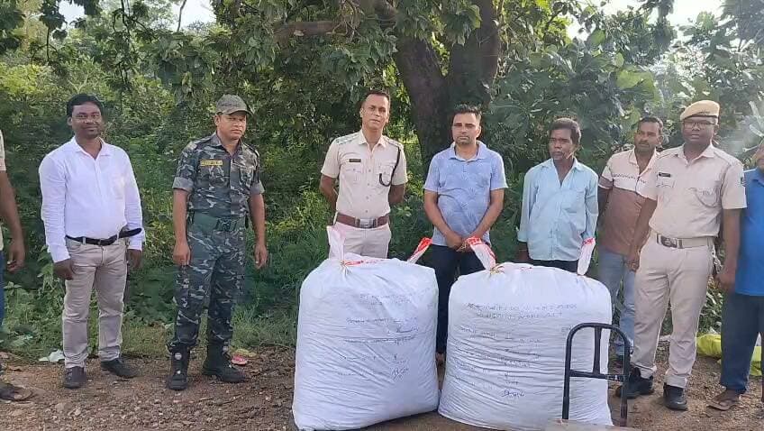ଜଙ୍ଗଲ ରେ ଲୁଚେଇକି ଗଂଜେଇ ରଖିଥିଲା ମାଫିଆ I ଜାଣିପାରିଲା ପୋଲିସ I ବଲମତୁମା ଜଙ୍ଗଲ କଣ୍ଟାମାଲ ପୋଲିସ ଚଢ଼ାଉ ଗଂଜେଇ ଜବତ