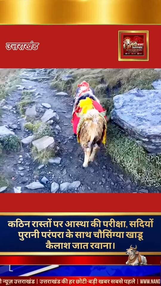 उत्तराखंड की समृद्ध लोक-संस्कृति और हिमालयी आस्था का प्रतीक मानी जाने वाली पवित्र कैलाश यात्रा इन दिनों अपने पूरे धार्मिक उत्साह के साथ आगे बढ़ रही है। सोशल मीडिया पर साझा किए गए दृश्यों के अनुसार, इस दुर्गम यात्रा का नेतृत्व पारंपरिक रूप से 'चौसिंग्या खाडू' कर रहा है, जो स्थानीय मान्यताओं में माँ नंदा देवी के संदेशवाहक के रूप में पूजनीय है। अत्यंत कठिन भूभाग, पथरीले रास्तों और विषम भौगोलिक परिस्थितियों के बावजूद देश-विदेश से आए श्रद्धालुओं का दल निरंतर उच्च हिमालयी क्षेत्रों की ओर अग्रसर है।
"उत्तराखंड की हर बड़ी खबर सबसे पहले पाने के लिए Nandi News Uttarakhand को Follow करें।"
#Uttarakhand #Dehradun #NandiNews #BreakingNews #UttarakhandNews #Tihri #viralvideo