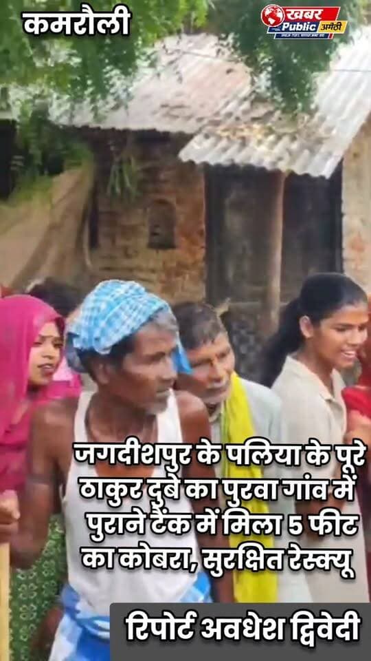 🐍 पुराने लैटरीन टैंक में छिपा था 5 फीट लंबा कोबरा, महिला ने देखा तो मचा हड़कंप!
कमरौली के पूरे ठाकुर दुबे गांव में लकड़ी लेने गई महिला की नजर अचानक टैंक में बैठे कोबरा पर पड़ी। सूचना मिलते ही ग्रामीण जुट गए। वनकर्मी प्रदीप कुमार और बृजेश ने करीब एक घंटे की मशक्कत के बाद सांप को सुरक्षित रेस्क्यू किया और बाद में कादूनाला वन रेंज क्षेत्र में छोड़ दिया।
⚠️ सांप दिखे तो पकड़ने या मारने की कोशिश न करें, वन विभाग को सूचना दें।
📍 कमरौली, अमेठी
#AmethiNews #Kamrauli #CobraRescue #SnakeRescue #Amethi