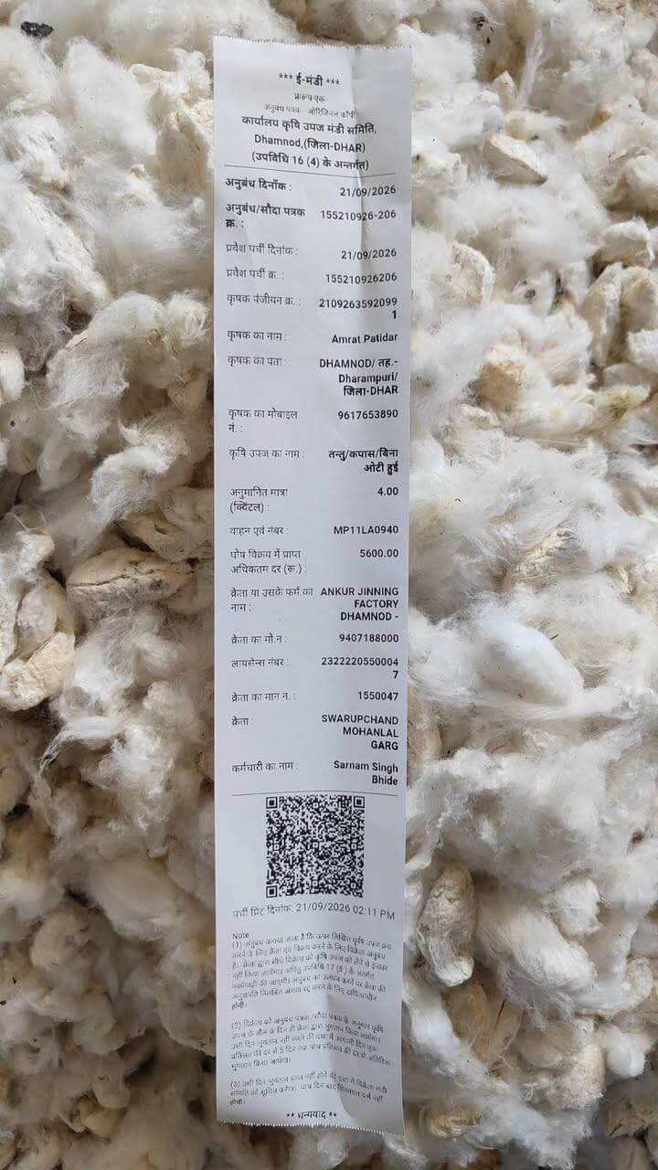 आज धामनोद मंडी में कपास का भाव इस प्रकार रहा, कपास का भाव कपास की क्वालिटी के अनुसार है...
आज कपास 5600 से लेकर 8300 टीटीतक नमी और क्वालिटी अनुसार बिका...
Dhamnod Mandi Bhav - धामनोद मंडी भाव #dhamnodmandibhav #viralpost #mandinews #kapaskabhav #kapasmandibhav #kapasmandi #kapaskarate #kapaskamandirate