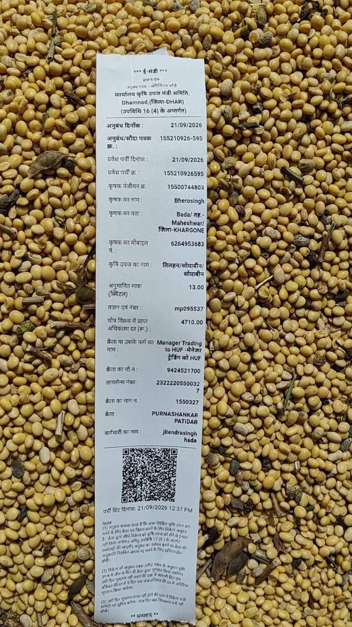 आज धामनोद मंडी में सोयाबीन का भाव इस प्रकार रहा, आज सोयाबीन 5000 तक बिका
अच्छे दाने के साथ साथ कम नमी वाले सोयाबीन की आवक ओर देखने मिलेगी...
Dhamnod Mandi Bhav - धामनोद मंडी भाव #dhamnodmandibhav #mandinews #soyabinkabhav #soyabinmandi #soyabinmandibhav #dhamnodmandi #viralpost