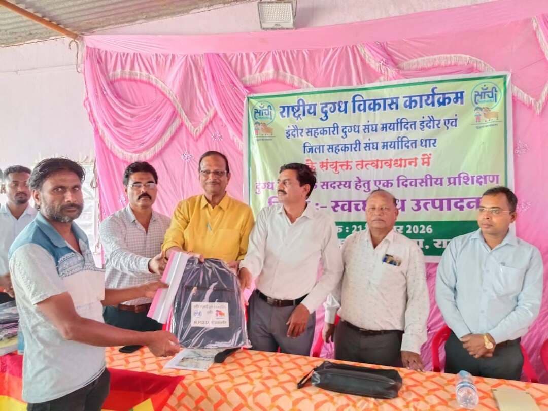 राष्ट्रीय दुग्ध विकास कार्यक्रम (NPDD) के अंतर्गत जिला सहकारी संघ धार एवं इंदौर दुग्ध सहकारी संघ के संयुक्त तत्वाधान में दुग्ध सहकारी संस्थाओं के सदस्यों के लिए एक दिवसीय गहन प्रशिक्षण कार्यक्रम का आयोजन ग्राम राजोद में किया गया।
कार्यक्रम का शुभारंभ मुख्य अतिथियों द्वारा माँ सरस्वती के चित्र पर माल्यार्पण एवं दीप प्रज्वलन कर किया गया। कार्यक्रम में जनप्रतिनिधि के रूप में साजोद दुग्ध सहकारी संस्था के अध्यक्ष श्री दयाराम एवं राजोद दुग्ध संस्था के अध्यक्ष श्री भारत लाल पटेल उपस्थित रहे।
*श्वेत क्रांति और अर्थव्यवस्था पर मंथन*
कार्यक्रम के मुख्य वक्ता एवं सहकारी प्रशिक्षण केंद्र इंदौर के पूर्व प्राचार्य श्री के. एल. राठौर ने देश में चल रही दुग्ध क्रांति पर प्रकाश डालते हुए कहा, "आज भारत पूरे विश्व के कुल दूध उत्पादन का 25 प्रतिशत से अधिक हिस्सा उत्पादित कर रहा है, जो राष्ट्रीय अर्थव्यवस्था को मजबूती प्रदान करने के साथ-साथ दुनिया की विशाल आबादी की पोषण आवश्यकताओं को पूरा कर रहा है।" उन्होंने पशुपालकों को उनके अधिकारों व कर्तव्यों से अवगत कराया और पशु किसान क्रेडिट कार्ड (KCC) योजना का अधिक से अधिक लाभ उठाने का आह्वान किया।
*स्वच्छ दुग्ध उत्पादन व 2030 का विज़न*
इंदौर दुग्ध संघ के पूर्व क्षेत्रीय प्रबंधक श्री एन. के. पगारे ने स्वच्छ एवं गुणवत्तापूर्ण दूध उत्पादन के व्यावहारिक तरीकों पर जोर दिया। उन्होंने बताया कि दूध संकलन में स्वच्छता रखने से दूध का उचित मूल्य मिलता है और दुग्ध उत्पादकों को निजी बिचौलियों के बजाय दुग्ध सहकारी संस्थाओं को ही दूध क्यों देना चाहिए। इसके साथ ही उन्होंने शासन की वर्ष 2030 तक की आगामी रणनीतिक योजनाओं की विस्तृत जानकारी दी।
वर्तमान क्षेत्रीय प्रबंधक श्री मोहन वास्केल ने इंदौर दुग्ध संघ द्वारा पशुपालकों एवं दुग्ध उत्पादकों के हित में चलाई जा रही विभिन्न योजनाओं और सुविधाओं पर प्रकाश डाला।
कार्यक्रम के अंत में सहभागी सदस्यों को दुग्ध सहकारिता संबंधी मार्गदर्शन निर्देशिका (गाइडबुक) एवं बैग का वितरण किया गया। प्रशिक्षण शिविर में दुग्ध सहकारी शीत केंद्र फुलगावड़ी के सुपरवाइजर श्री जीतराम बेगा, श्री भूपेंद्र पुरोहित सहित क्षेत्रीय दुग्ध सहकारी संस्थाओं के 100 से अधिक सदस्यों ने उत्साहपूर्वक भाग लिया।
कार्यक्रम का सफल संचालन जिला सहकारी संघ के मुख्य कार्यपालन अधिकारी श्री शुभेन्द्र सिंह पवार ने किया एवं आभार प्रदर्शन जिला सहकारी संघ के श्री लक्ष्मी नारायण चावड़ा द्वारा व्यक्त किया गया।
Jansampark Madhya Pradesh