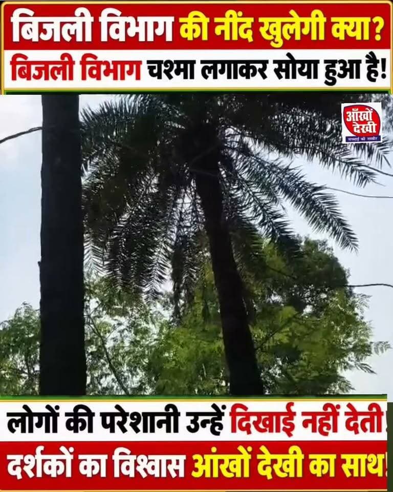 बिजली की समस्या को लेकर ग्रामीणों ने आपको अच्छी न्यूज़ चैनल को भेजा वीडियो!#facebook #highlightsシ゚ #viralreelsシ #nonfollowers #electricity