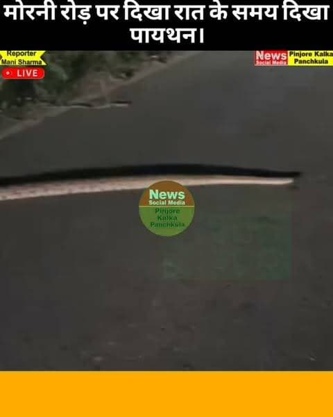 मोरनी रोड़ पर दिखा रात के समय दिखा पायथन।
Like /comment /share / follow instagram and you tube subscribe
https://nsmpkp.com News Social Media Pinjore Kalka Panchkula Reporter mani Pinjore / kalka 22-9-2026,
my E-mail:manisharma4009@ gmail.com what's app no:-9896944009