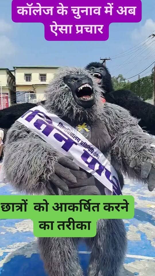 विभिन्न कॉलेजों में चुनाव चल रहा है और इन चुनाव में प्रचार के नए-नए तरीके खोजे जा रहे हैं यू आर पद के प्रत्याशी यतिन पांडेय ने अपना प्रचार इन जानवरों (सिम्बोलिक) से प्रचार कर वोटरों को प्रभावित किया #elections #mbpg #electionnews