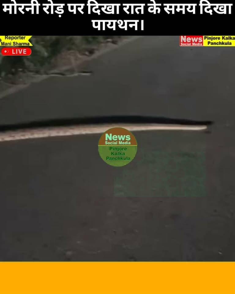 मोरनी रोड़ पर दिखा रात के समय दिखा पायथन।
Like /comment /share / follow instagram and you tube subscribe
https://nsmpkp.com News Social Media Pinjore Kalka Panchkula Reporter mani Pinjore / kalka 22-9-2026,
my E-mail:manisharma4009@ gmail.com what's app no:-9896944009
https://www.instagram.com/reel/Ddkt1gvBAhk/?stkn=c21hbm90ZGhubHBp
https://youtube.com/shorts/RT2k5vJVsQQ?si=J_zfSjvTOFKZIi0y