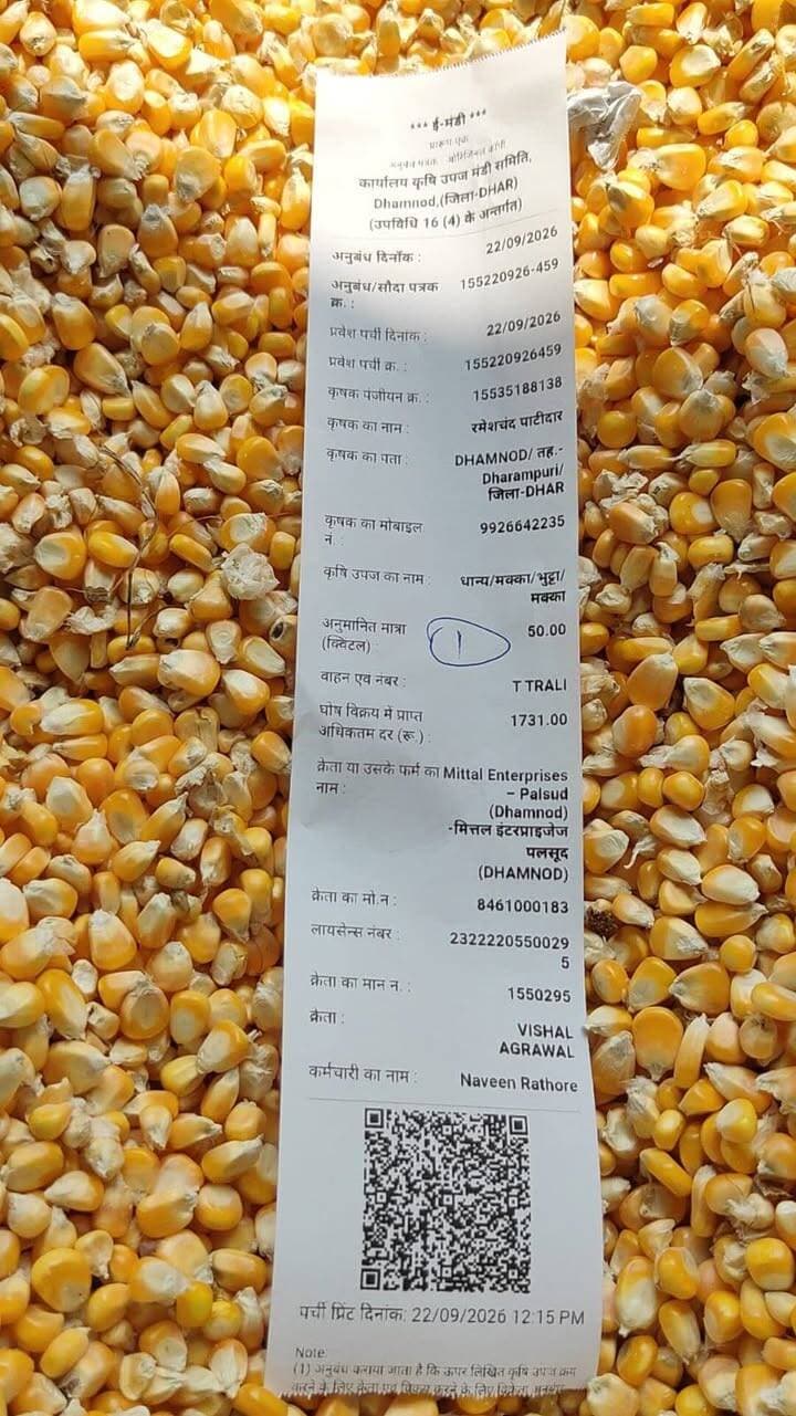 आज धामनोद मंडी में मक्का के भाव इस प्रकार रहा, मक्का के भाव स्थिर
नमी वाले माल के भाव अच्छे होने से आवक अच्छी बनी हुई है
Dhamnod Mandi Bhav - धामनोद मंडी भाव #dhamnodmandibhav #makkamandibhav #makkakabhav #makkarates #mandibhavtoday #mandinews