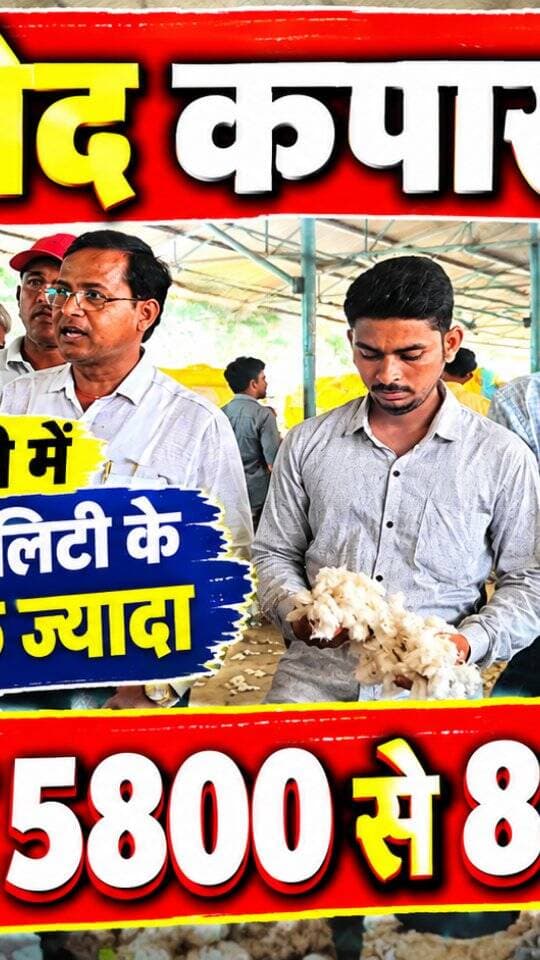 आज धामनोद कपास मंडी में कपास का भाव इस प्रकार रहा, कपास की अच्छी क्वालिटी आने लगी
आज कपास 5800 से लेकर 8505 तक बिका, क्वालिटी अनुसार
22 सितंबर 2026
Dhamnod Mandi Bhav
.
.
.
.
.
.
.
.
.
.
.
.
.
.
#dhamnodmandibhav #kapasmandirates #kapaskamandibhav #kapaskabhav #mandinews