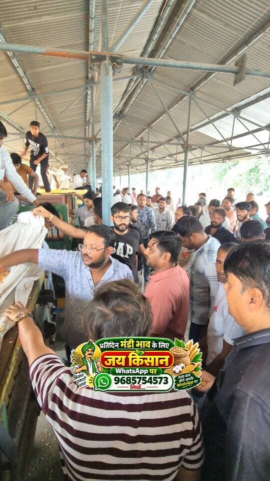 21 सितंबर 2026 | मंडी भाव | कृषि उपज मंडी खातेगांव, जिला-देवास (म.प्र.) Khategaon Mandi • मंडी भाव
