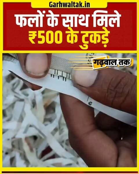 फलों की खेप में मिले ₹500 के नोटों के टुकड़े, मचा हड़कंप!