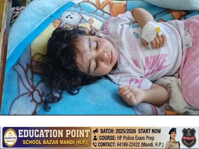 शिमला के शांकली में 20 माह की बच्ची को काटने वाले कुत्ते को नगर निगम की टीम ने पकड़ा
टूटीकंडी स्थित डॉग हट में ले जाया गया कुत्ता