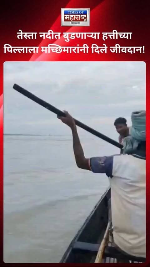 तेस्ता नदीत बुडण्याच्या अवस्थेत असलेल्या हत्तीच्या एका पिल्लाला मच्छिमारांनी वाचवले. नदीच्या प्रवाहात अडकलेल्या या पिल्लाला मच्छिमारांनी धाडसाने बाहेर काढत सुरक्षित ठिकाणी नेले. त्यांच्या तत्परतेमुळे हत्तीच्या पिल्लाचे प्राण वाचले.
#BabyElephant #TeestaRiver #Fishermen #AnimalRescue #WildlifeNews