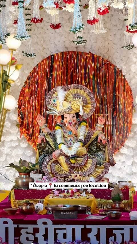 Comment on location 📍
#bhopal #Ganeshji #Shri Ganeshji #Bappa #hiddenpandal