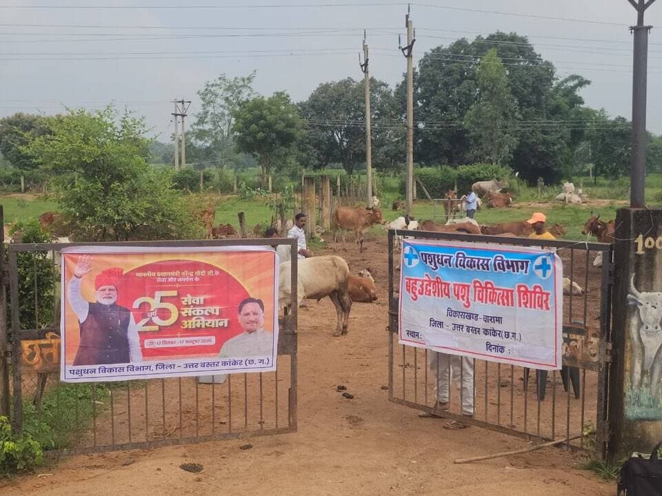 सेवा संकल्प अभियान के तहत पशुधन विकास विभाग द्वारा जिले में पशु स्वास्थ्य, टीकाकरण एवं सुरक्षित पशु प्रबंधन को लेकर विशेष जागरूकता एवं चिकित्सा अभियान चलाया गया।
🔹 208 पशुओं का सर्वे एवं टैगिंग
🔹 12 पशुओं को रेडियम बेल्ट
🔹 ग्राम जुनवानी में 149 पशुओं का एलएसडी टीकाकरण
🔹 ग्राम शाहवाडा में 95 गौवंश एवं 87 बकरियों का टीकाकरण
🔹 सैकड़ों पशुओं का उपचार एवं औषधि वितरण
🔹 पशुपालकों को पशुओं को खुले में न छोड़ने और नियमित स्वास्थ्य देखभाल की समझाइश