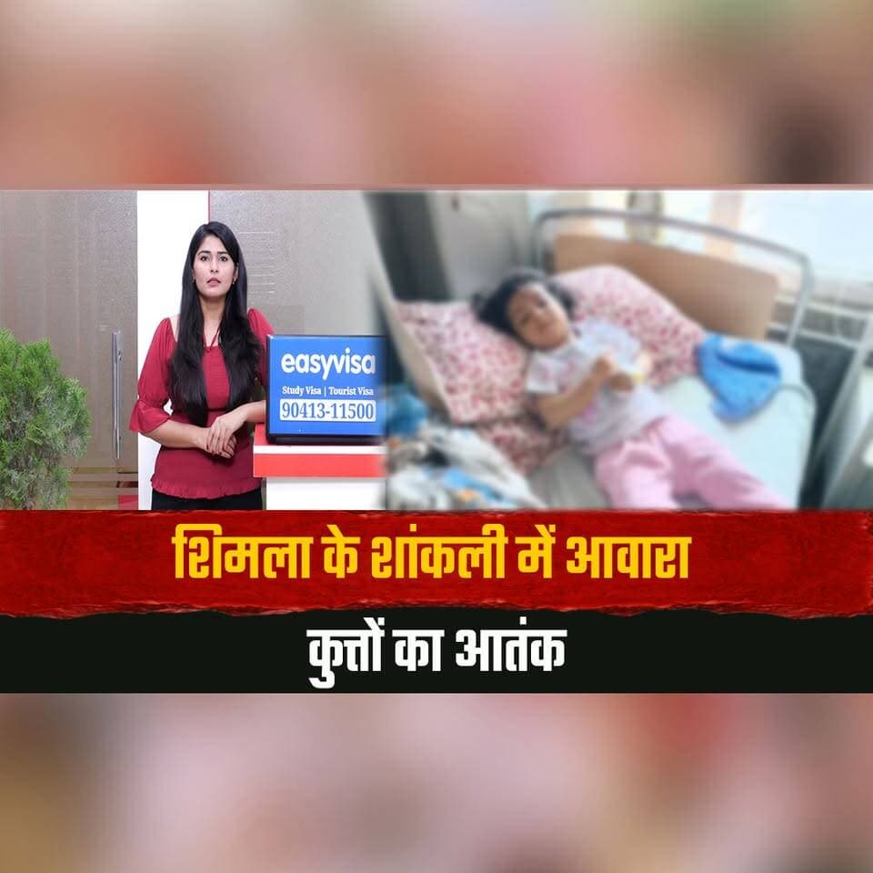 शिमला के शांकली में आवारा कुत्तों का आ. तं. क
20 महीने की मा. सू. म पर किया हम. ला
#Shimla #Sankhli #StrayDogs #DogAttack #PublicSafety #HimachalNews #thesummernewshimachal