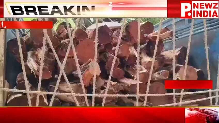 पिछोर रेंज की कार्रवाई पर उठे सवाल, खैर की लकड़ी से भरी पिकअप जब्त, चालक फरार
शिवपुरी जिले के पिछोर-खनियाधाना मार्ग पर वन विभाग ने रात के समय कार्रवाई करते हुए खैर की लकड़ी से भरी एक बोलेरो पिकअप जब्त की है। कार्रवाई के दौरान वाहन चालक पिकअप को मौके पर छोड़कर अंधेरे का फायदा उठाते हुए फरार हो गया। हालांकि, इस कार्रवाई के बाद पिछोर रेंज की कार्यप्रणाली को लेकर भी सवाल उठने लगे हैं।
जानकारी के अनुसार पिछोर रेंज की वन विभाग की टीम रात में गश्त पर थी। इसी दौरान टीम ने एक बोलेरो पिकअप को रोकने का प्रयास किया। वन विभाग की गाड़ी को देखते ही चालक वाहन को मौके पर छोड़कर फरार हो गया।
इसके बाद वन विभाग की टीम ने पिकअप की तलाशी ली, जिसमें खैर की लकड़ी भरी मिली। टीम ने वाहन को जब्त कर रेंज कार्यालय पहुंचाया और वन अधिनियम के तहत कार्रवाई शुरू की।
वहीं, स्थानीय लोगों का कहना है कि क्षेत्र के कुछ गांवों में पेड़ों की अवैध कटाई की शिकायतें लगातार सामने आती रही हैं। लोगों का सवाल है कि यदि अवैध कटाई हो रही है, तो वन विभाग द्वारा नियमित निगरानी और प्रभावी कार्रवाई क्यों नहीं की जा रही?
हालांकि, इन आरोपों की स्वतंत्र रूप से पुष्टि नहीं हुई है। वन विभाग का पक्ष सामने आने के बाद ही स्थिति और स्पष्ट हो सकेगी।