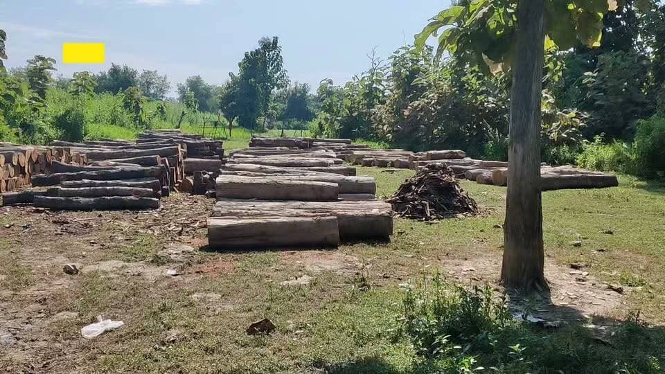 #Bahraich:- वन विभाग के संरक्षण में चल रहा कीमती लकड़ियों के कटान का बड़ा खेल,,, नगरौर स्थित एक खेत में कट रहे 350 कीमती पेड़,, ग्रामीणों की माने तो उनका कहना 225 पेड़ों की परमिट होने की कही जा रही बात,, तीन दिनों से क्षेत्रीय वन दरोगा सत्यजीत सिंह से परमिट की फोटो कॉपी मांगने के बाद भी नहीं मिली कोई भी परमिट,,संबंधित ठेकेदार सलीम का कहना पचास पचास की होगी परमिट लेकिन अभी नहीं है,,केवल ऑफलाइन की ही है परमिट,, अब ऐसे में बगैर परमिट के कैसे काट दिए गए कीमती पेड़,,कौन देगा जवाब,,जबकि सरकार का निर्देश है कि ऑनलाइन परमिट होने के बाद ही हो सकती है पेड़ों की कटान,, आखिर सरकार के पैसों को कौन लगा रहा है चूना,,
#वायरल #UttarPradesh #dfobahraich Dfo Office Bahraich UP Police D.M. Bahraich