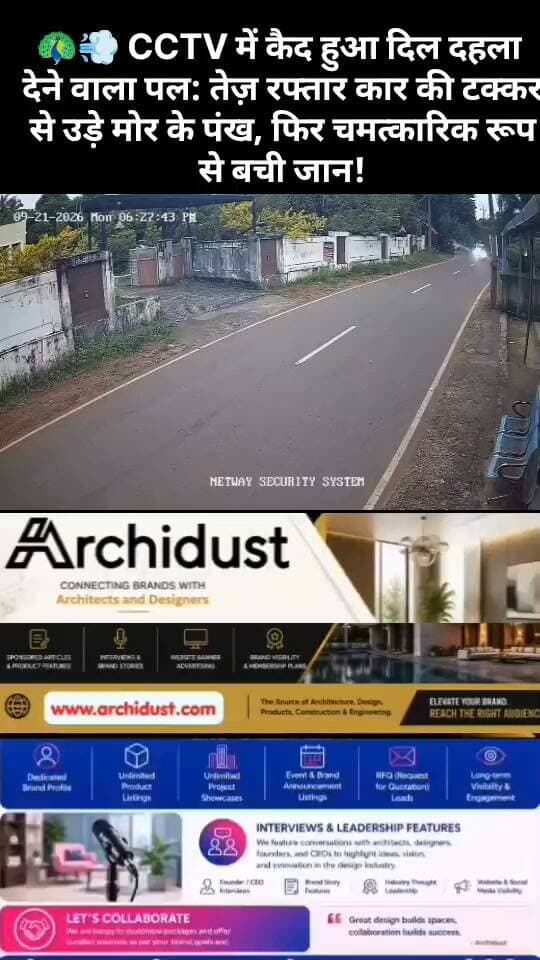 🦚💨 CCTV में कैद हुआ दिल दहला देने वाला पल: तेज़ रफ्तार कार की टक्कर से उड़े मोर के पंख, फिर चमत्कारिक रूप से बची जान!
सोशल मीडिया पर एक दिल दहला देने वाला CCTV/Dashcam वीडियो तेज़ी से वायरल हो रहा है, जिसमें एक मोर (Peacock) अचानक दीवार से नीचे कूदकर सड़क पर आ जाता है और सामने से आ रही तेज़ रफ्तार कार (Speeding Car) की चपेट में आ जाता है। टक्कर इतनी जोरदार थी कि मोर के पंख पूरे रास्ते पर बिखर गए – देखने में लगा कि यह घातक (Fatal) ही होगा।
📹 क्या हुआ?
· समय: शाम के वक्त (Dusk) – जब रोशनी कम हो रही थी
· घटना: एक मोर अचानक दीवार से नीचे कूदकर सड़क पर आ गया
· टक्कर: सामने से आ रही तेज़ रफ्तार कार ने मोर को टक्कर मार दी
· असर: टक्कर से मोर के पंख पूरे रास्ते पर बिखर गए – एक सेकंड के लिए लगा कि सब खत्म
🙏 फिर जो हुआ वो चमत्कार था!
· कुछ ही सेकंड बाद – मोर ने खुद को संभाला (Steadied Itself)
· अपना मुकुट (Crown) खो चुका था – लेकिन जिंदा था (Alive)
· उठा और चल दिया (Walked Away) – जैसे कुछ हुआ ही न हो
🧬 विज्ञान क्या कहता है?
यह कोई चमत्कार (Miracle) नहीं, बल्कि प्रकृति का एक विकासवादी करिश्मा (Evolutionary Trick) है:
✅ मोर के पंख ढीले होते हैं (Loosely Attached) – यह उन्हें टक्कर का असर शरीर पर नहीं पड़ने देते।
✅ पंख 'शॉक एब्जॉर्बर' (Shock Absorber) की तरह काम करते हैं – टक्कर की एनर्जी को अपने ऊपर ले लेते हैं।
✅ शरीर सुरक्षित (Body Safe) रहता है – भले ही पंख उड़ जाएं।
💡 इससे क्या सीख मिलती है?
✅ सड़क सुरक्षा (Road Safety) – जंगली जानवरों के इलाकों में गाड़ी धीरे चलाएं।
✅ वन्यजीव सुरक्षा (Wildlife Protection) – मोर भारत का राष्ट्रीय पक्षी (National Bird) है – इसे बचाना हमारी जिम्मेदारी है।
✅ प्रकृति की समझ (Nature's Intelligence) – विकास (Evolution) ने हर जीव को बचाने का तरीका सिखाया है।
👉 www.bharatnamanews.com
#Peacock #RoadSafety #WildlifeOnRoads #DriveCarefully #PeacockVideo #NationalBird #WildlifeProtection #BharatNamaNews #हिंदीसमाचार #मोर #सड़कसुरक्षा #वन्यजीव #राष्ट्रीयपक्षी #CCTV
