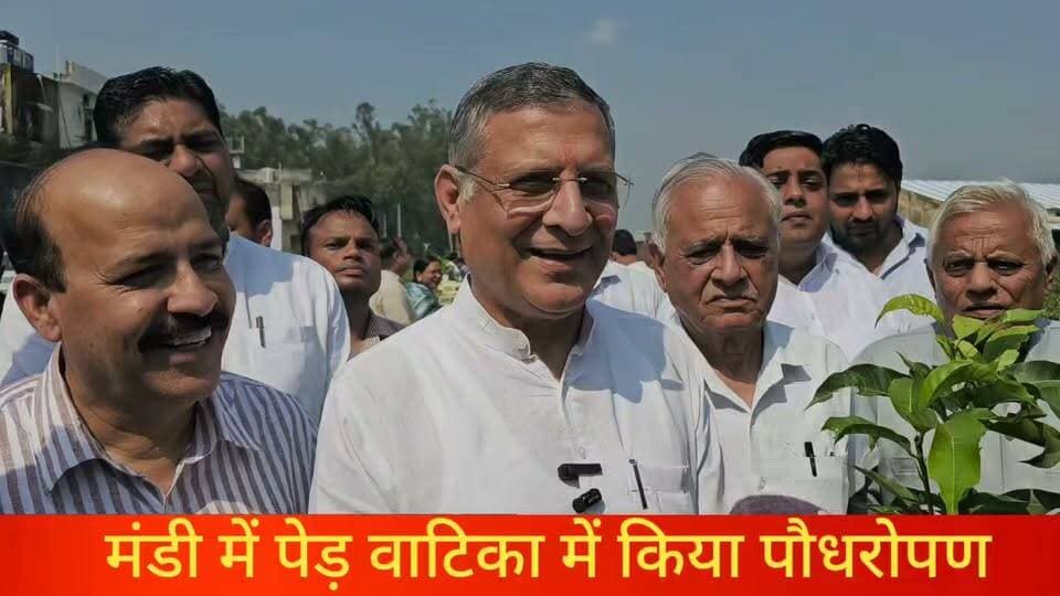 प्रधानमंत्री नरेन्द्र मोदी के जन्मदिन उपलक्ष्य में जगाधरी अनाज मंडी में पूर्व मंत्री कंवरपाल गुज़र ने किया पौधरोपण
#modi #NarenderModi #BJPGovernment #HaryanaBJP #NayabSaini