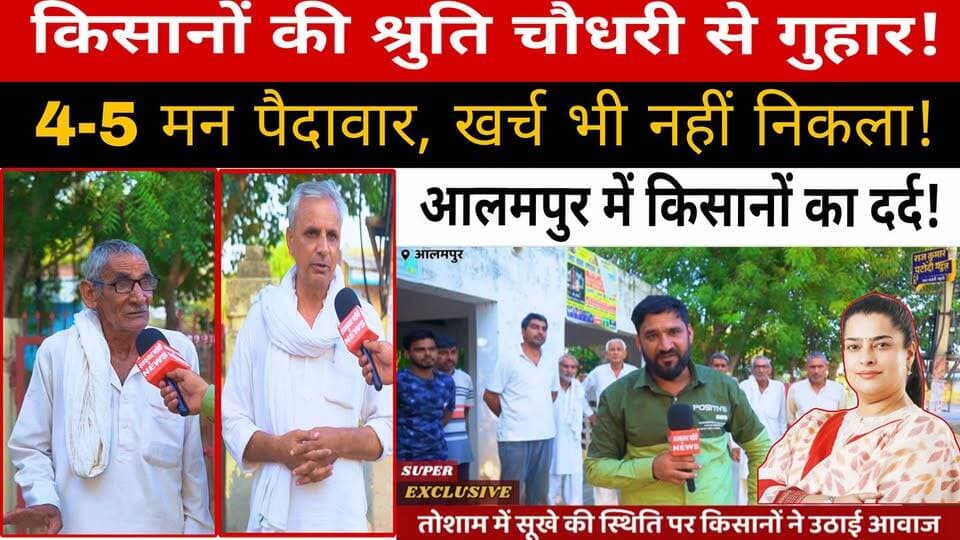 आलमपुर के किसानों का दर्द आया सामने | कम बारिश से फसल बर्बाद! | श्रुति चौधरी व धर्मबीर से गुहार#rajkumarpatoudinews #haryana #haryana #kisan #tosham