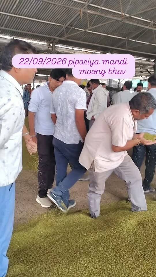 22/07/2026 pipariya mandi moong bhav #pipariya #mandi #moong #viral