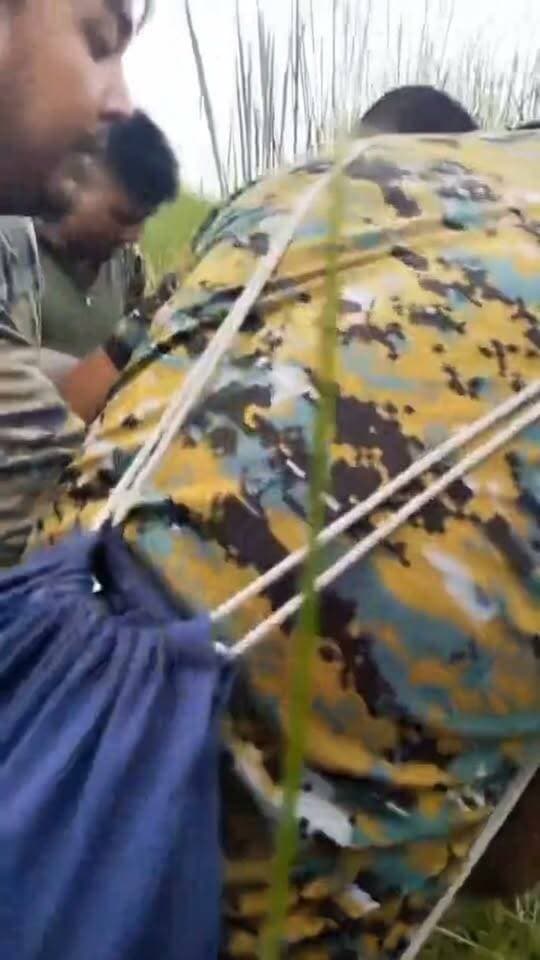 রিয়েল হিরো এরাই