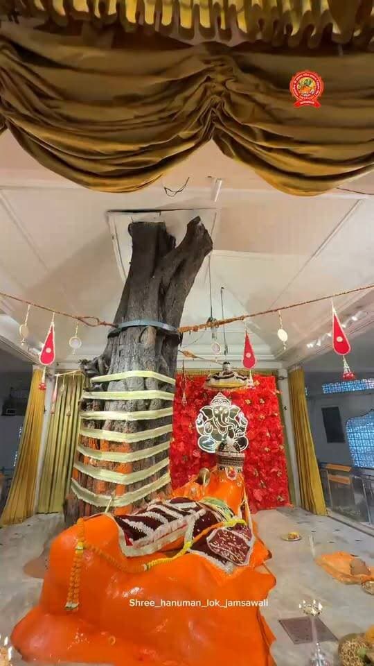 *दिनांक 22/09/26 दिन मंगलवार आज के संध्या कालीन आरती दर्शन!* *जय श्री राम जय हनुमान 🌸🙇🏼🚩*