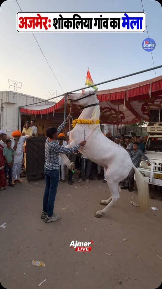 अजमेर: शोकलिया मेले में भव्य घोड़े का नृत्य 🐎✨