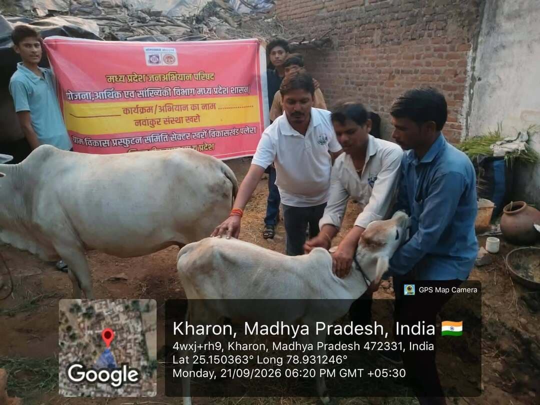 लम्पी वॉयरस से गौ माताओं को बचाने में जुटी म प्र जन अभियान परिषद की नवांकुर संस्था की टीम
--
मध्य प्रदेश जन अभियान परिषद टीकमगढ़, ब्लॉक जतारा की नवांकुर संस्था ग्राम विकास प्रस्फुटन समिति खरों द्वारा लम्पी रोग से गौ माताओं को बचाने के लिए पशु विभाग से सम्पर्क कर टीकाकरण करवाए। नवांकुर संस्था प्रमुख हृदेश सेन ने प्रशासन से गौ माताओं को लम्पी वॉयरस से बचने का आग्रह किया था।
म प्र जन अभियान परिषद की नवांकुर संस्था के सभी जन सेवकों ने मिलकर गौ माताओं को टीका लगवाने में सहयोग किया। इस विशेष टीका करण अभियान में म प्र जन अभियान परिषद नवांकुर संस्था प्रमुख ह्रदेश कुमार सेन, प्रशांत सेन, विमलेश पटेल, कृष पटेल , अजू पटेल, आशू पटेल, कृष्ण पटेल सहित कई गौ माताओं का टीका करण करने सहयोग किया।
#JansamparkMP
#Jansamparktikamgarh
#tikamgarh