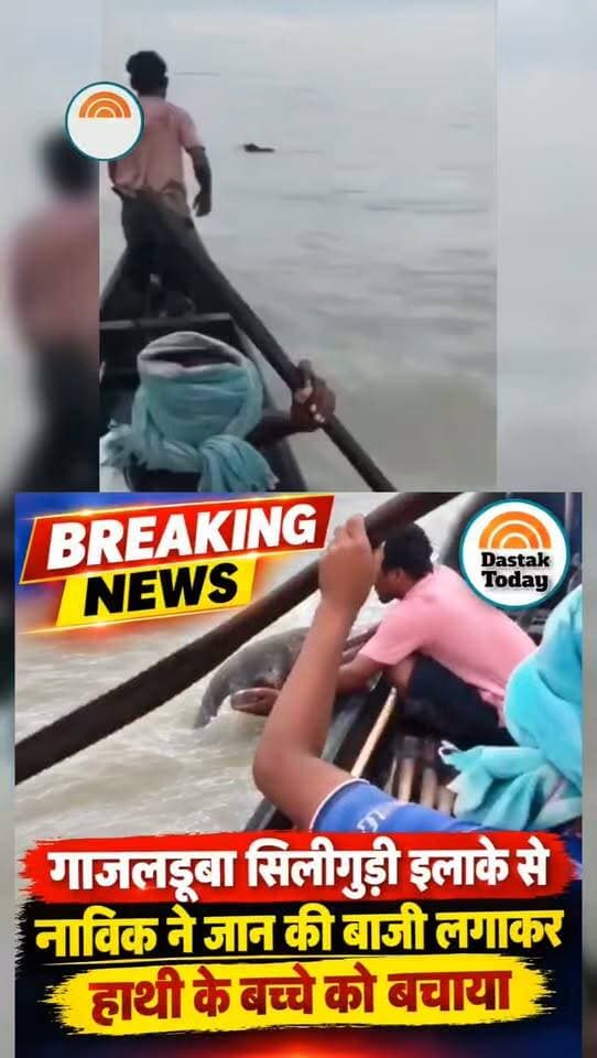 Viral video gajolduba Siliguri