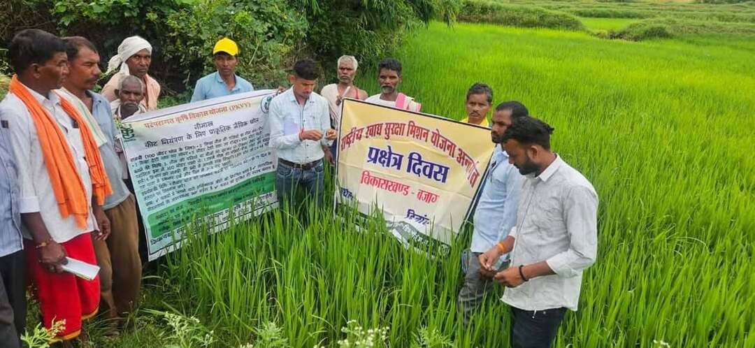 धान में भूरा एवं सफेद फुदका के प्रकोप से बचाव के लिए किसानों को सलाह
जिले में धान की फसल में भूरा फुदका एवं सफेद फुदका के प्रकोप की स्थिति को देखते हुए कृषि विभाग द्वारा किसानों को फसल की नियमित निगरानी करने तथा समय पर कीट नियंत्रण के उपाय अपनाने की सलाह दी गई है। विभाग के अनुसार फुदका के प्रकोप से धान की पत्तियां पीली पड़ने लगती हैं और फसल की वृद्धि प्रभावित हो सकती है।
कृषि विभाग ने किसानों को सलाह दी है कि प्रकोप दिखाई देने पर निम्न में से किसी एक कीटनाशक का अनुशंसित मात्रा में 150 से 200 लीटर पानी में घोल बनाकर प्रति एकड़ छिड़काव करें—
इमिडाक्लोप्रिड 17.8 एसएल – 60 मिली प्रति एकड़
थायोमेथोक्साम 25% डब्ल्यूजी – 80 ग्राम प्रति एकड़
पायमेट्रोजिन 50% डब्ल्यूजी – 120 ग्राम प्रति एकड़
विभाग ने किसानों को यह भी सलाह दी है कि फुदका के प्रकोप के दौरान नाइट्रोजनयुक्त उर्वरकों, जैसे यूरिया, का अनावश्यक प्रयोग न करें। कीटनाशक का छिड़काव करते समय खेत में पानी का स्तर कम रखें तथा स्प्रे को पौधे के निचले तने और पत्तियों के आधार तक पहुंचाएं, क्योंकि फुदका प्रायः इसी स्थान पर पाया जाता है।
किसानों को कीटनाशकों के प्रयोग में सावधानी बरतते हुए एक ही रासायनिक समूह की दवा का बार-बार उपयोग नहीं करने की सलाह दी गई है। विभाग के अनुसार इससे कीटों में दवा के प्रति प्रतिरोधक क्षमता विकसित होने की संभावना कम की जा सकती है।
कृषि विभाग ने किसानों से अपील की है कि धान की फसल की नियमित निगरानी करें और फुदका का प्रकोप दिखाई देने पर समय रहते आवश्यक नियंत्रण उपाय अपनाएं।
#sevasankalap #Dindori #PaddyCrop #RiceFarming #FarmerAdvisory #CropProtection #PestControl #Agriculture #Farmers #KharifCrop #MadhyaPradesh
#jansamparkdindori