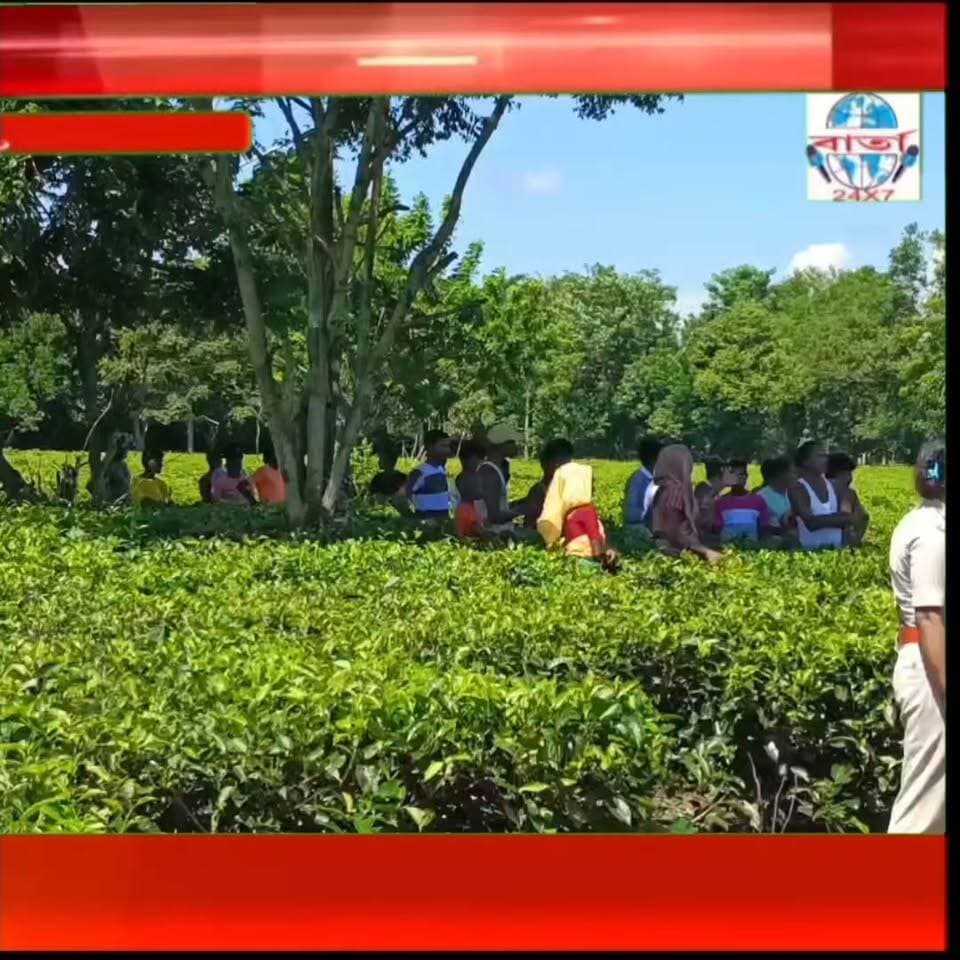 বিশ্বনাথৰ বিহালী সম জিলাৰ জিনজীয়াত উলংগ অৱস্থাত মহিলাৰ মৃতদেহ উদ্ধাৰ। ধৰ্ষণ কৰি হত্যা কৰাৰ সন্দেহ জনতাৰ।
#public #friends #highlights #news #viral #reels #everyone #facebook #police #biswnath #crime #barta24x7