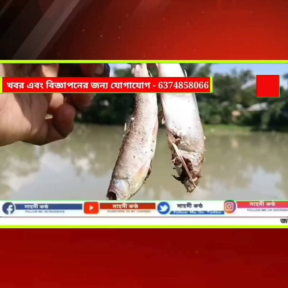 বিষ নিক্ষেপে লক্ষাধিক টাকার মাছ নিধন, খোয়াইয়ে থানায় লিখিত অভিযোগ