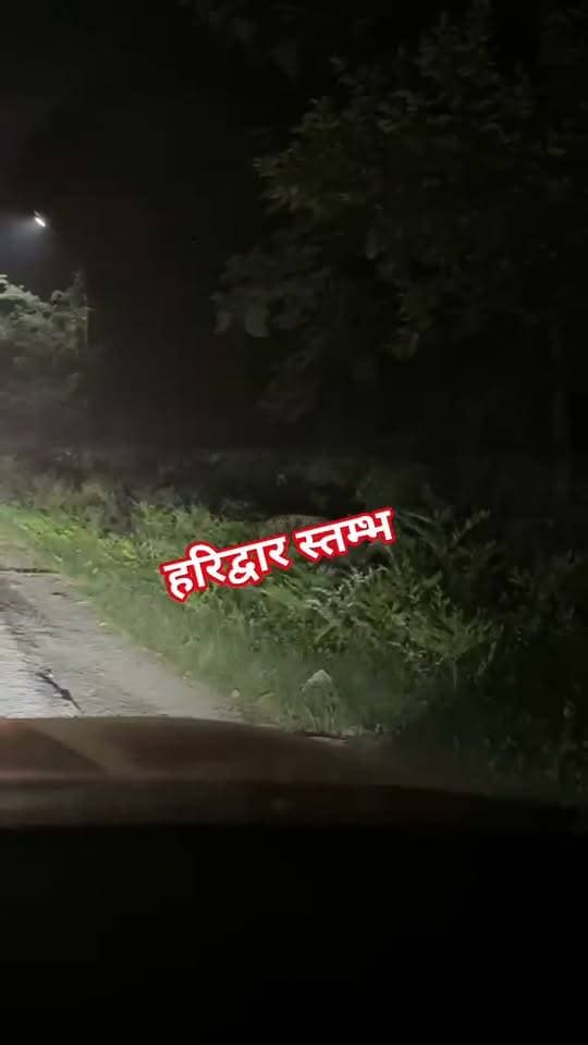 #haridwar : रहे सावधान #BHEL में घूम रहा है गुलदार, इस खबर को ज्यादा से ज्यादा शेयर करें : देखें वीडियो
Haridwar Stambh Vasudev
